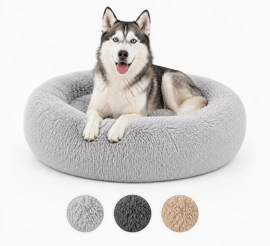 CalmNest. De Veilige Plek voor Jouw Hond